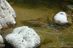 周至金絲猴保護區